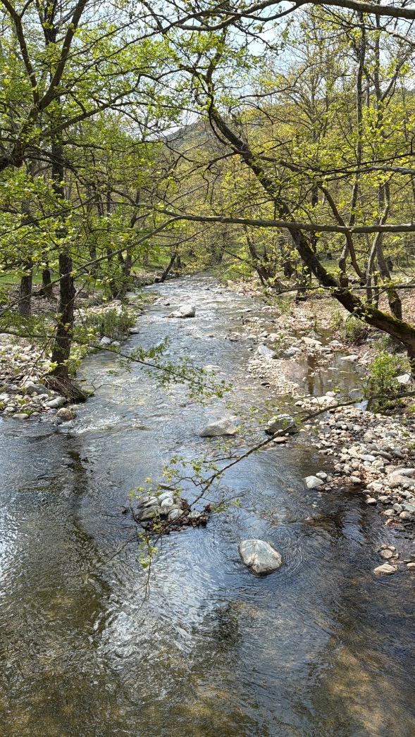 Ρέον υδατόρεμα με πετρώδη κοίτη και πυκνή δενδρώδη βλάστηση στις όχθες, στη Φαιά Πέτρα Σερρών.