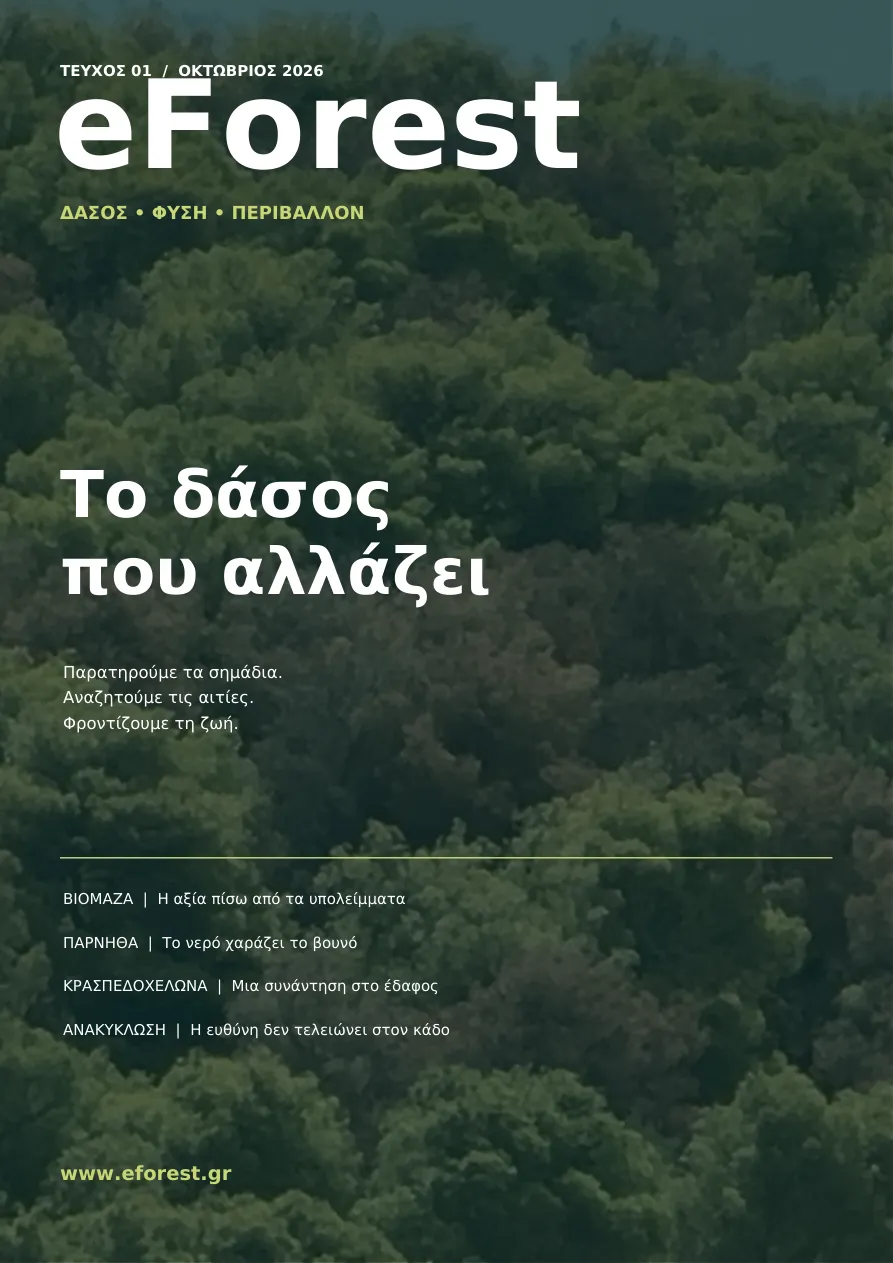 Εξώφυλλο: Το δάσος που αλλάζει